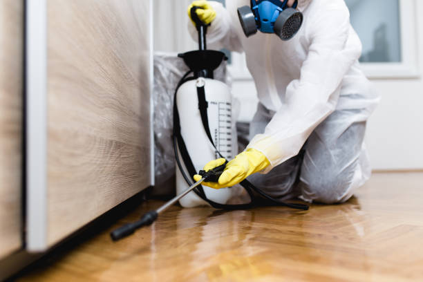 Best Pest Removal Services  in Medulla, FL