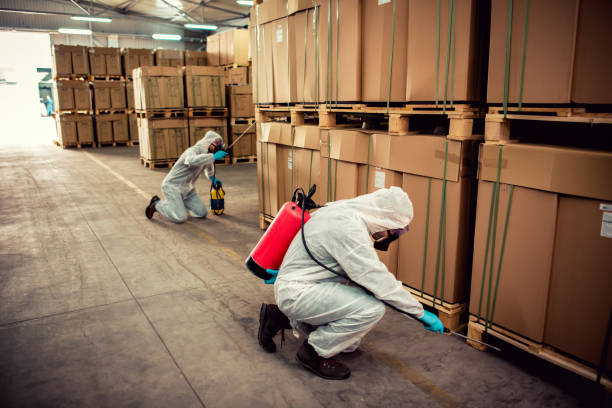 Best Wasp Removal Services  in Medulla, FL