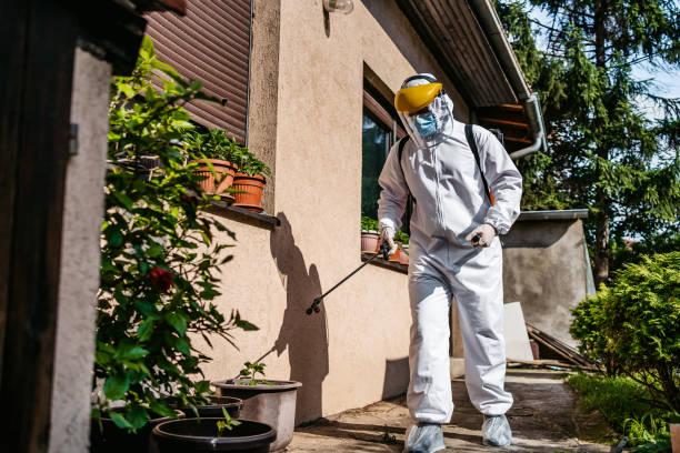 Best Termite Control Services  in Medulla, FL