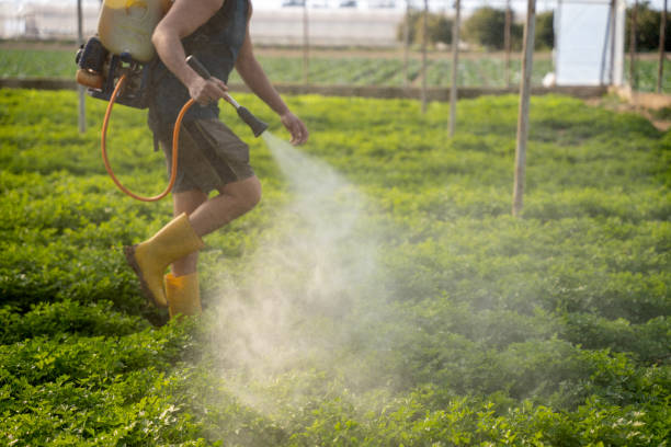 Best Affordable Pest Control Services  in Medulla, FL