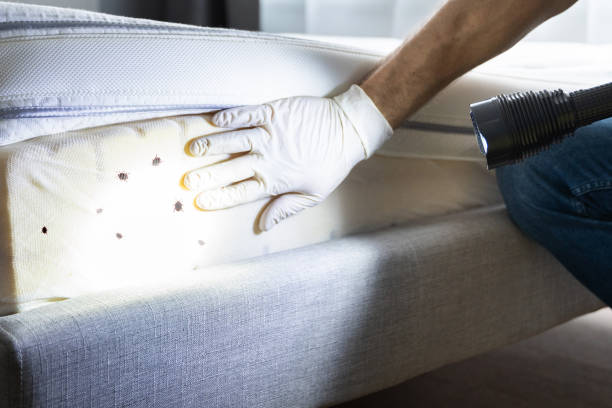 Best Exterminator Services  in Medulla, FL