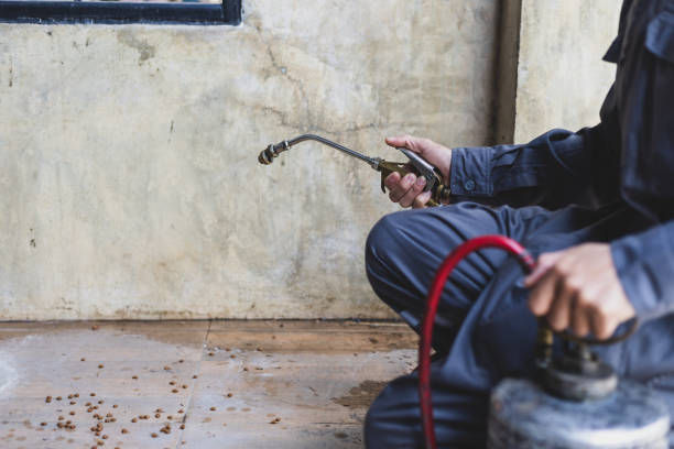 Best Local Pest Control Services  in Medulla, FL